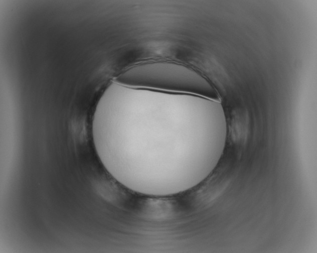 X0000111950520200908101225