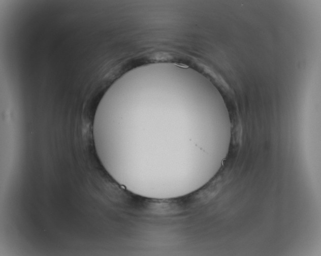 X0000111950521200908101225