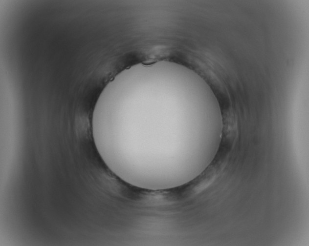 X0000111950523200908101225