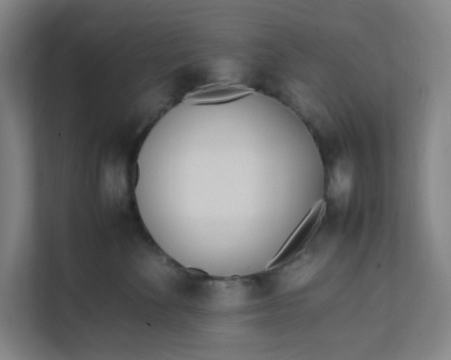 X0000111950524200908101225