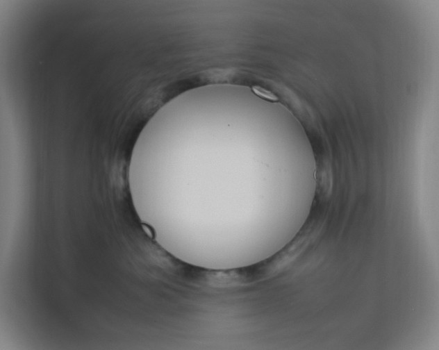 X0000111950525200908101225