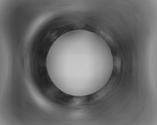 X0000111950526200908101225