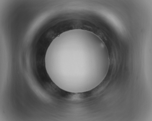 X0000111950527200908101225