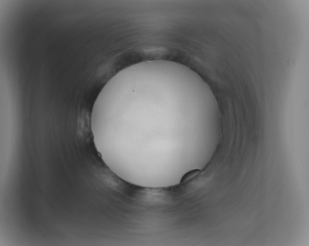 X0000111950528200908101225