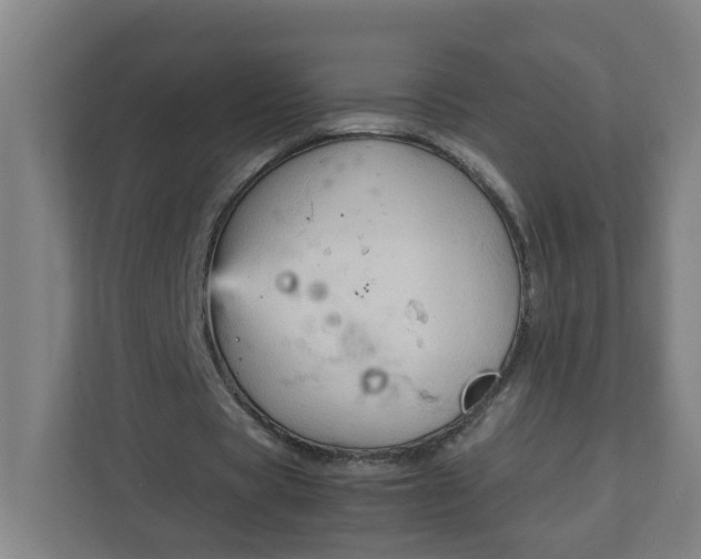 X0000111950529200908101224