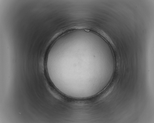 X0000111950530200908101224