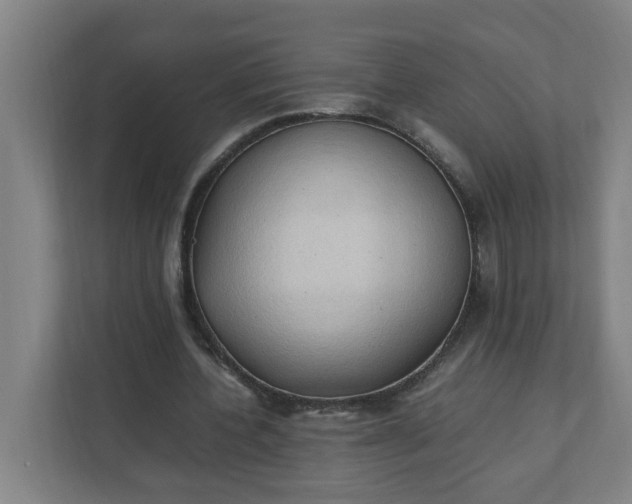 X0000111950532200908101224