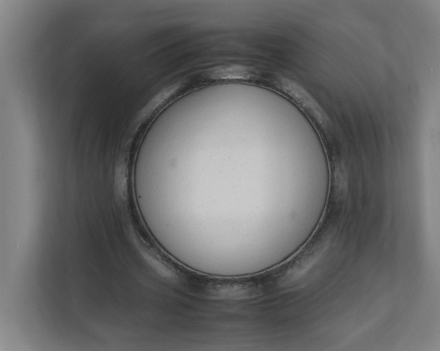 X0000111950533200908101224