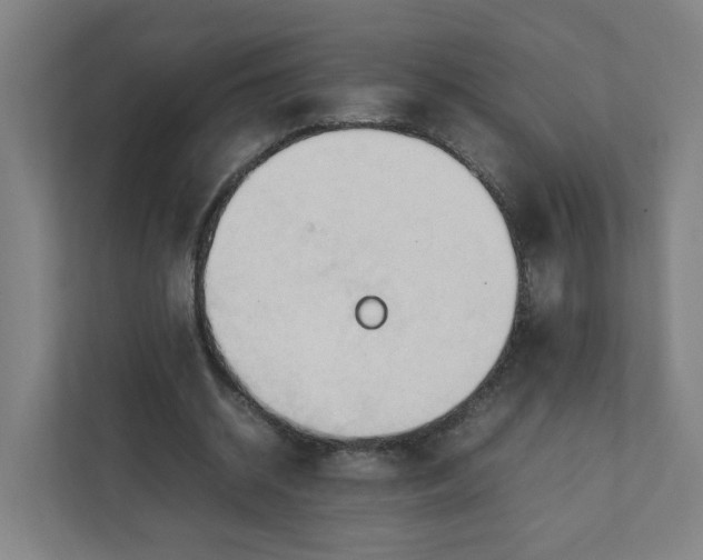 X0000111950534200908101224