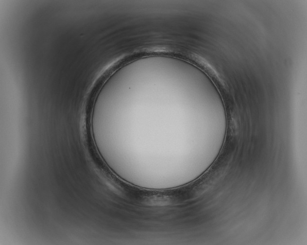 X0000111950535200908101224