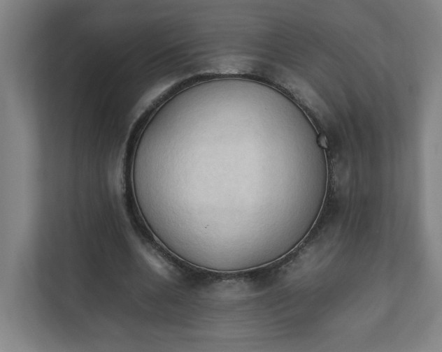 X0000111950536200908101224