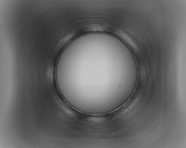 X0000111950537200908101224