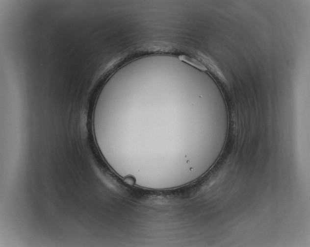 X0000111950538200908101224