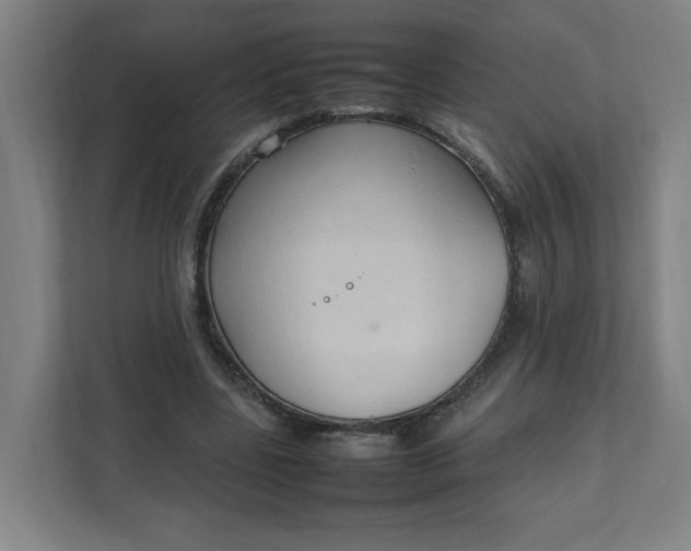 X0000111950539200908101224