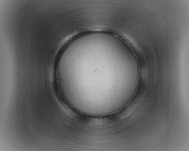 X0000111950540200908101224