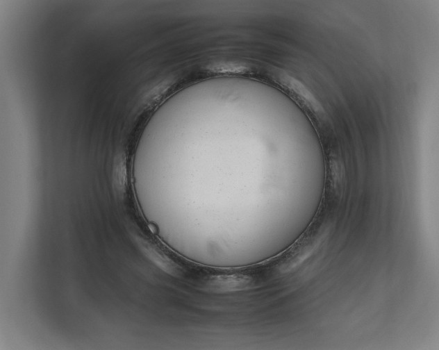 X0000111950541200908101224