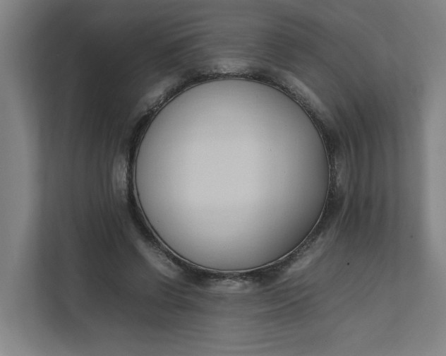 X0000111950542200908101224