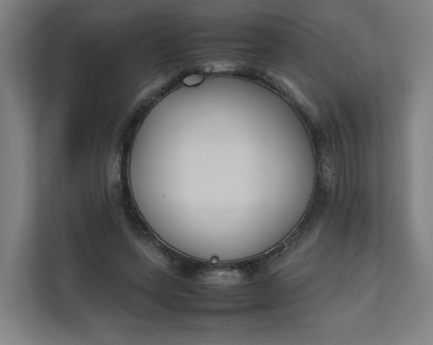 X0000111950543200908101224