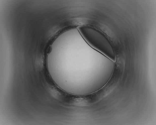 X0000111950544200908101224