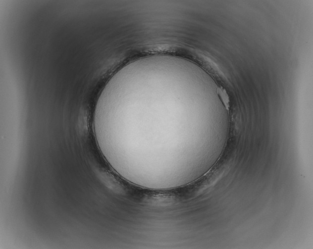 X0000111950546200908101224