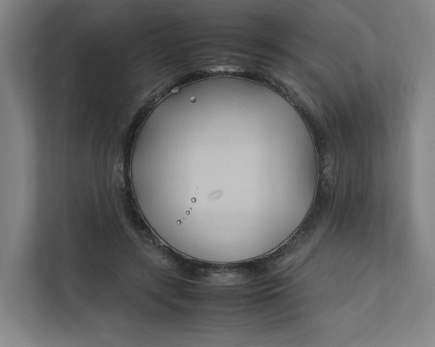 X0000111950547200908101224