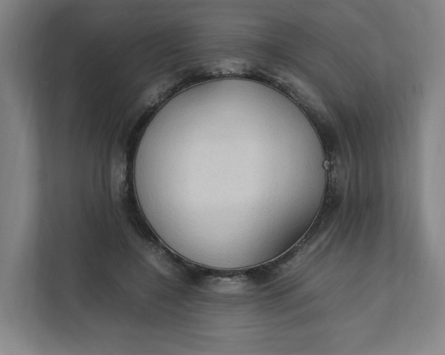 X0000111950548200908101224