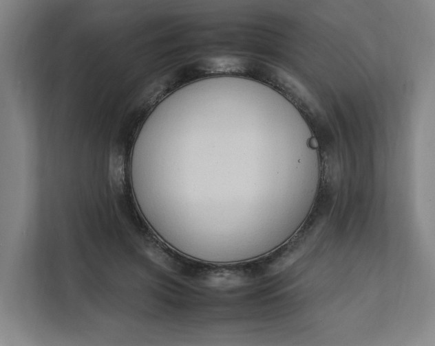 X0000111950549200908101224