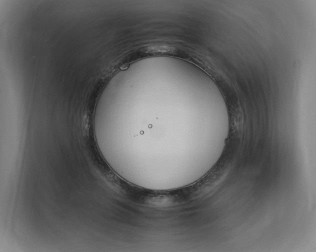 X0000111950551200908101224