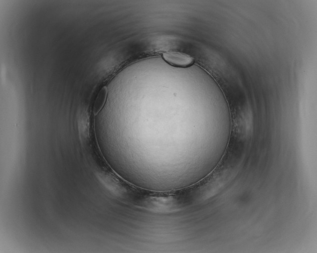 X0000111950552200908101224