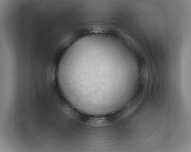 X0000111950554200908101224