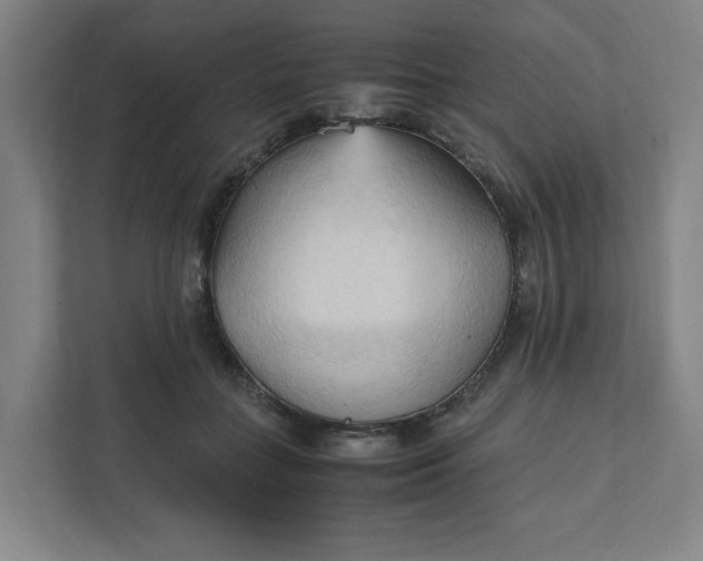 X0000111950555200908101224