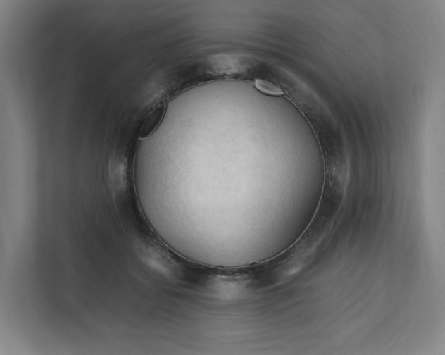 X0000111950556200908101224