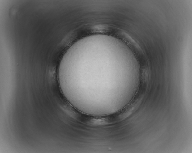 X0000111950557200908101224