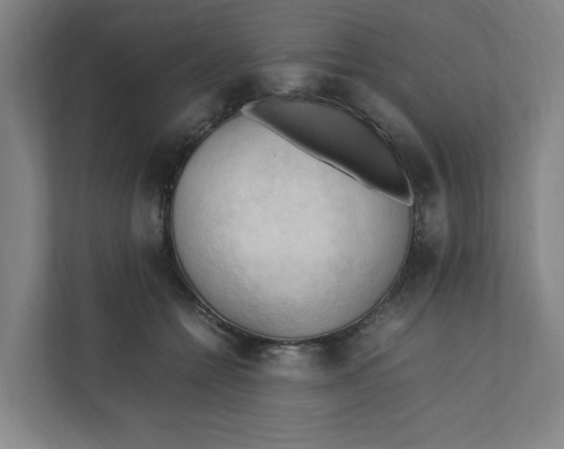 X0000111950558200908101224