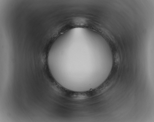 X0000111950559200908101224