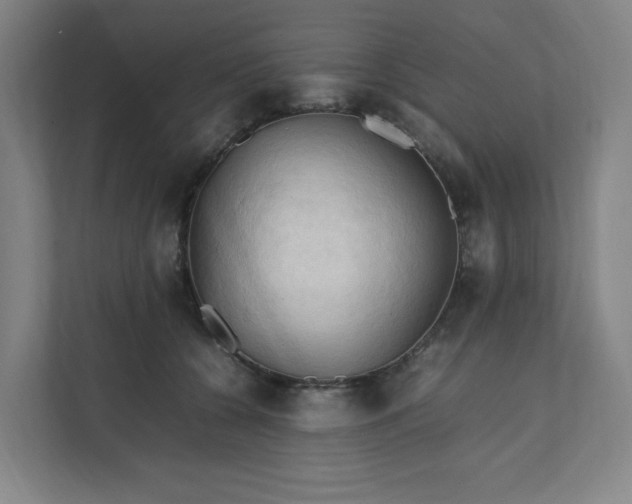 X0000111950560200908101224