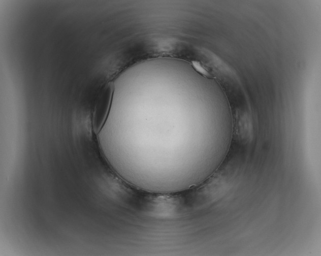 X0000111950562200908101224