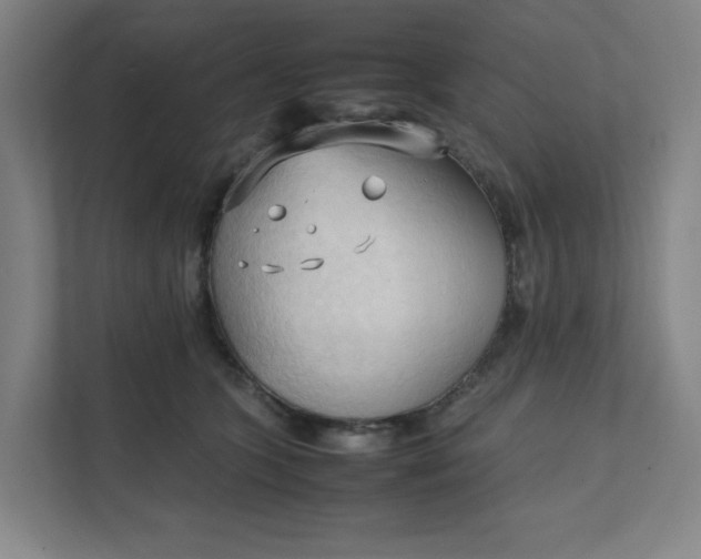 X0000111950563200908101224