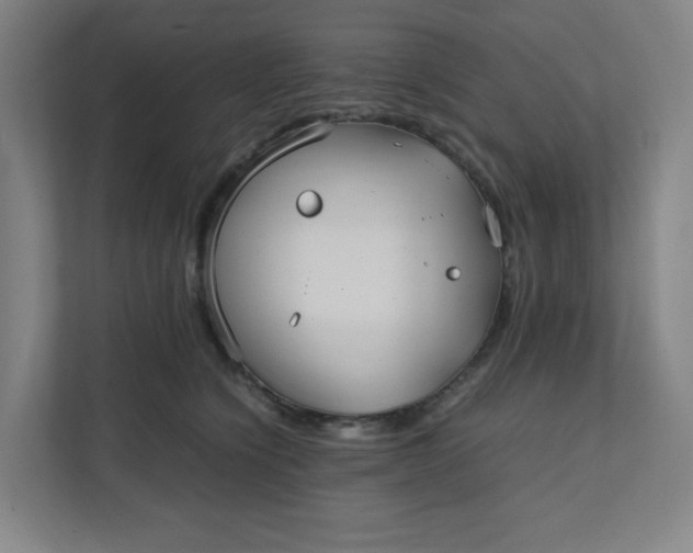 X0000111950564200908101224