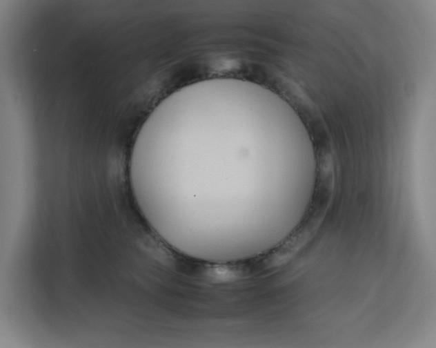 X0000111950565200908101224