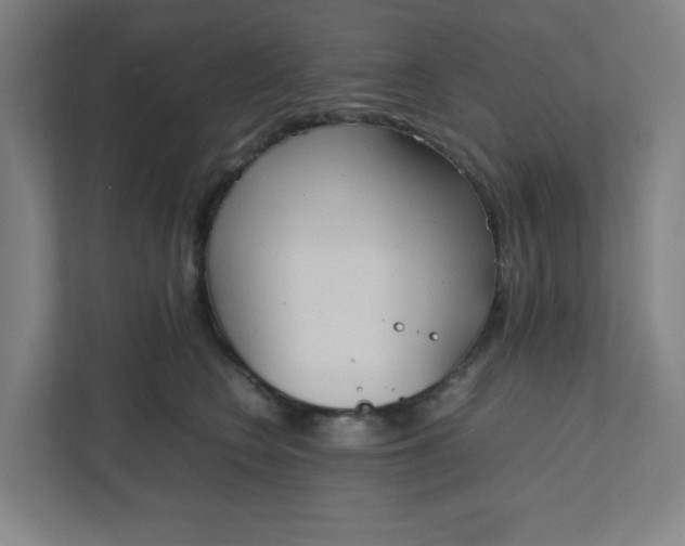 X0000111950566200908101224