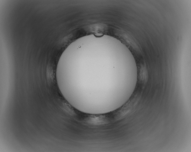 X0000111950569200908101225