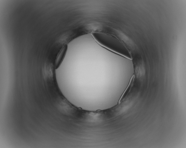 X0000111950570200908101225