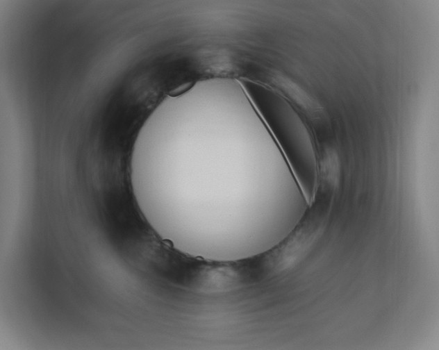 X0000111950572200908101225