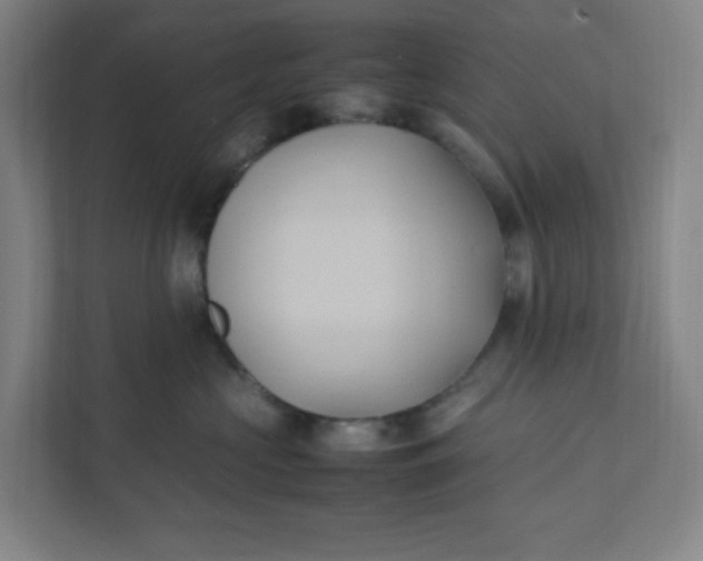 X0000111950573200908101225