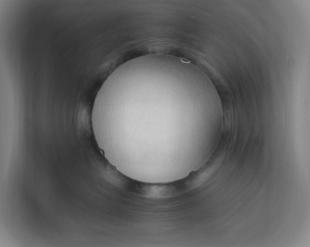 X0000111950575200908101225