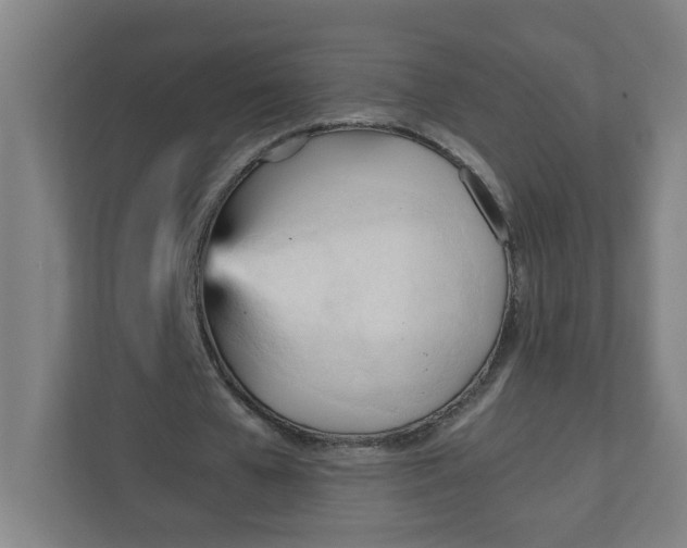 X0000111950577200908101224