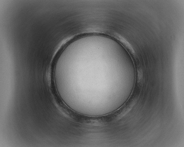 X0000111950580200908101224