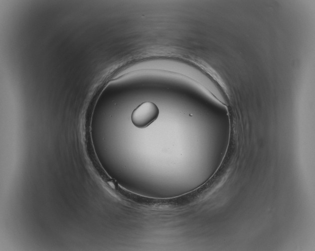 X0000111950581200908101224