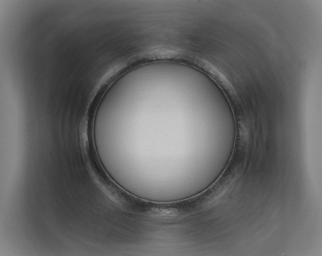 X0000111950582200908101224